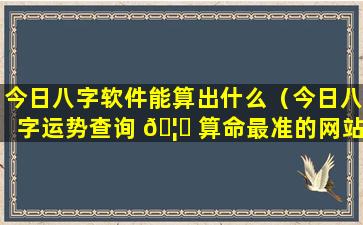 今日八字软件能算出什么（今日八字运势查询 🦍 算命最准的网站）